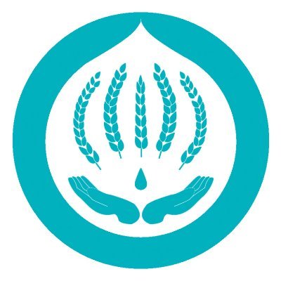 member55