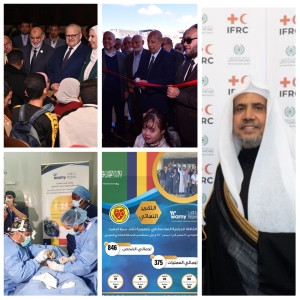 أخبار المنظمات التابعة للمجلس في أسبوع