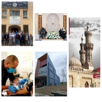 الحصاد الأسبوعي للمجلس والمنظمات التابعة له